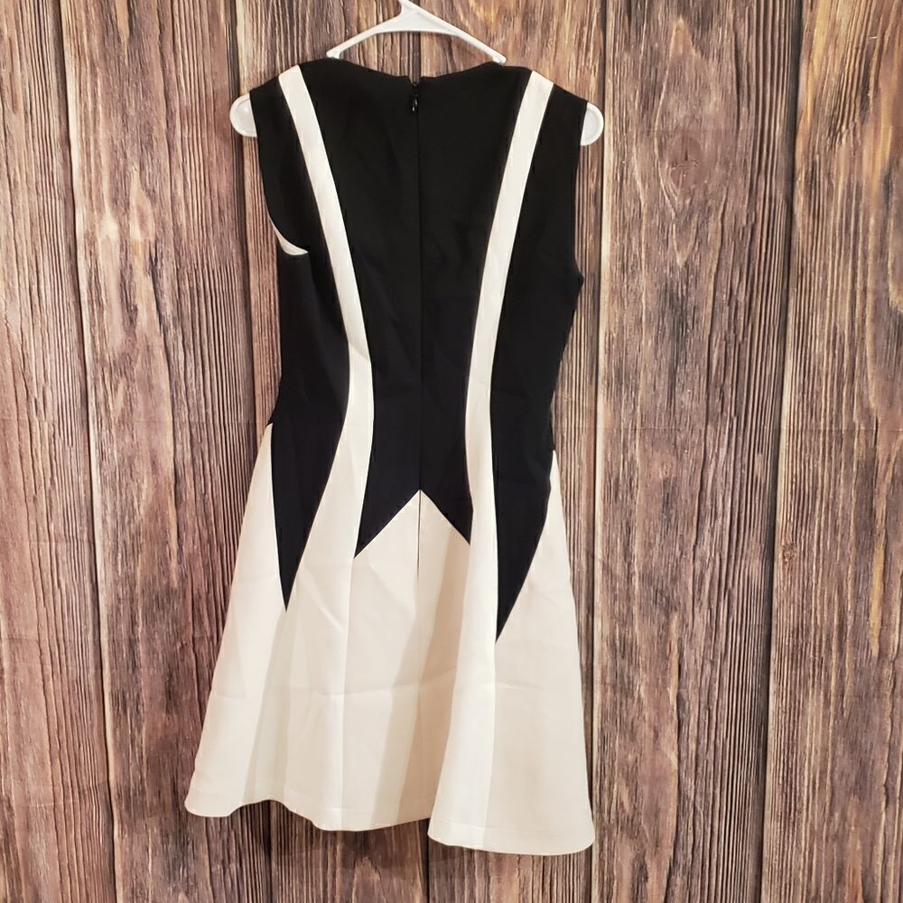 BCBG MaxAzria Dress  - Picture 2 of 11